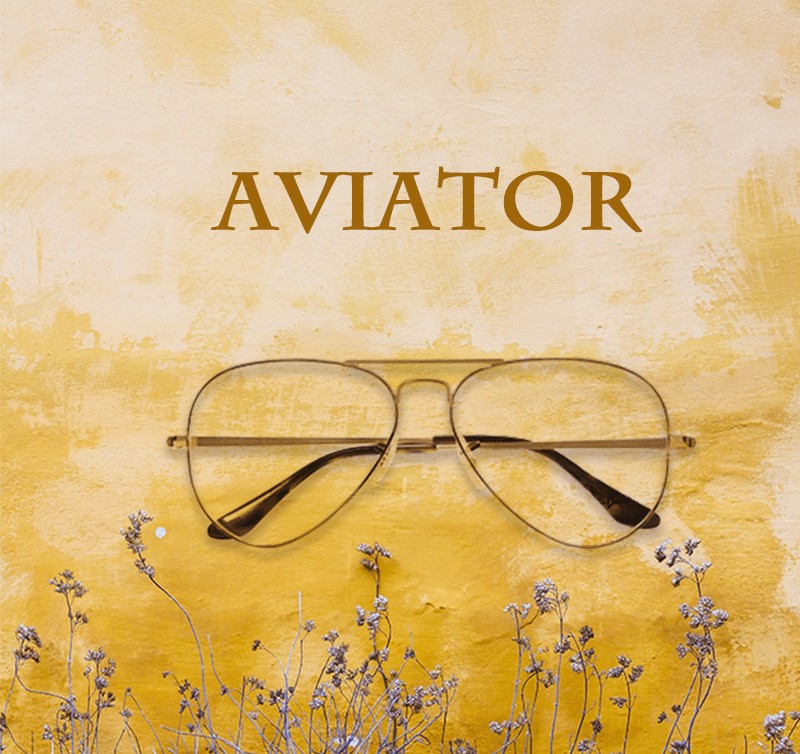 Aviator glasses frame